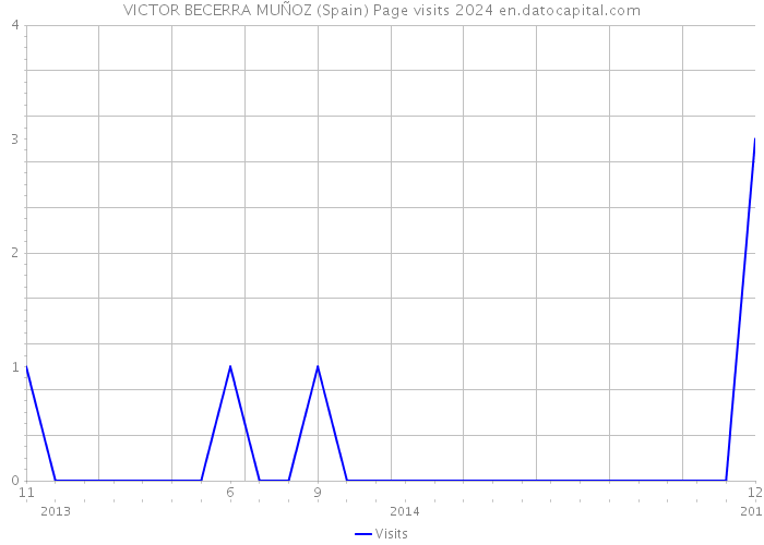 VICTOR BECERRA MUÑOZ (Spain) Page visits 2024 