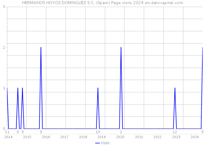 HERMANOS HOYOS DOMINGUEZ S.C. (Spain) Page visits 2024 