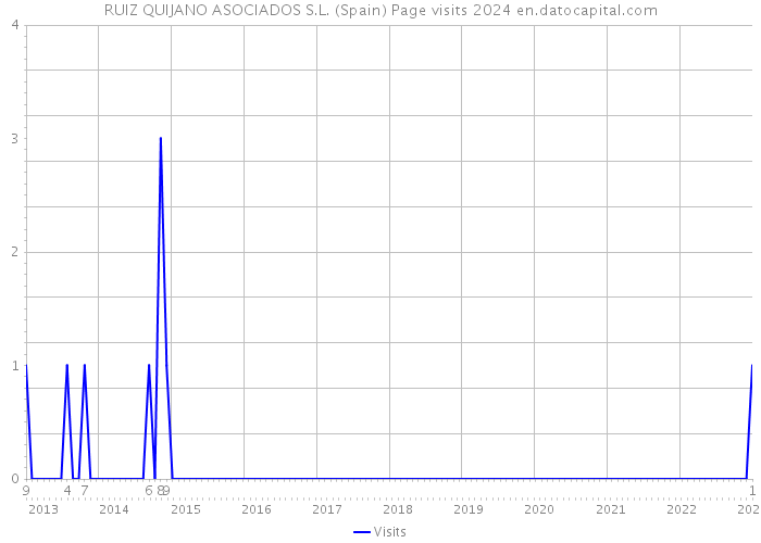 RUIZ QUIJANO ASOCIADOS S.L. (Spain) Page visits 2024 