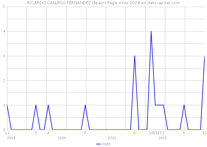 RICARDO GALLEGO FERNANDEZ (Spain) Page visits 2024 