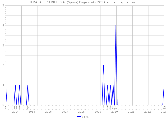 HERASA TENERIFE, S.A. (Spain) Page visits 2024 