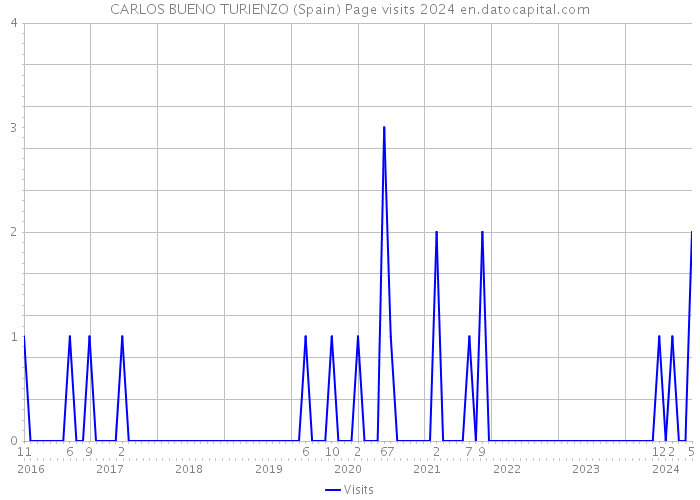 CARLOS BUENO TURIENZO (Spain) Page visits 2024 