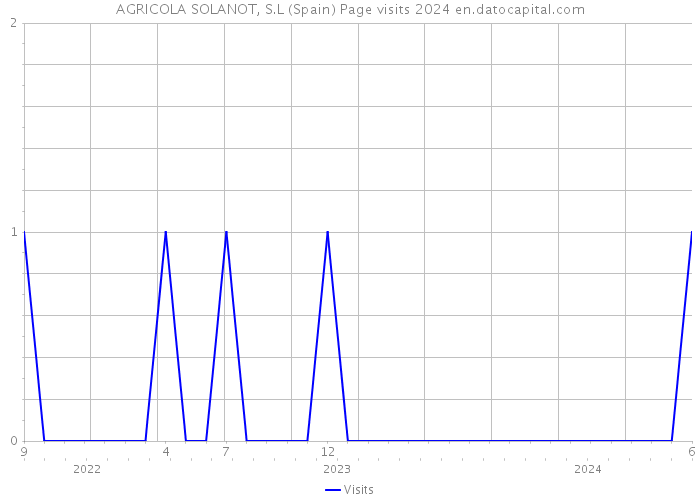 AGRICOLA SOLANOT, S.L (Spain) Page visits 2024 