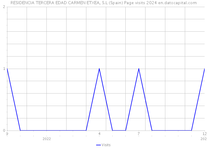 RESIDENCIA TERCERA EDAD CARMEN ETXEA, S.L (Spain) Page visits 2024 