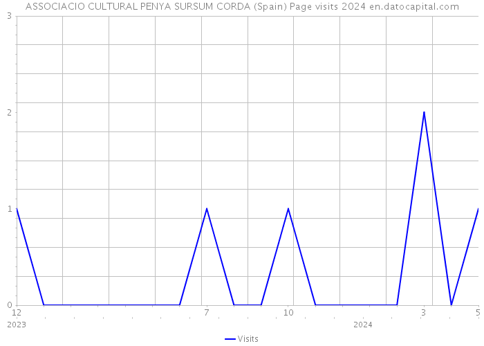 ASSOCIACIO CULTURAL PENYA SURSUM CORDA (Spain) Page visits 2024 