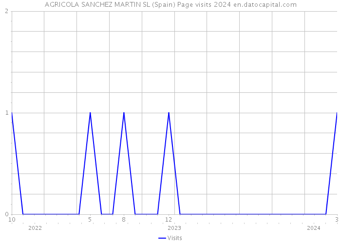 AGRICOLA SANCHEZ MARTIN SL (Spain) Page visits 2024 