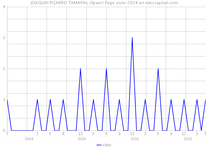 JOAQUIN PIZARRO TAMARAL (Spain) Page visits 2024 