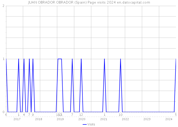JUAN OBRADOR OBRADOR (Spain) Page visits 2024 