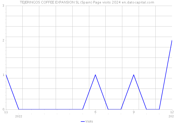 TEJERINGOS COFFEE EXPANSION SL (Spain) Page visits 2024 