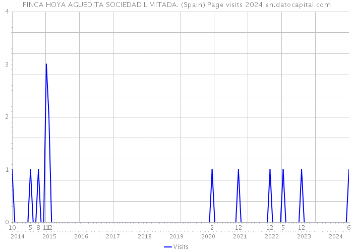 FINCA HOYA AGUEDITA SOCIEDAD LIMITADA. (Spain) Page visits 2024 