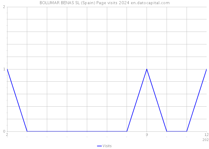 BOLUMAR BENAS SL (Spain) Page visits 2024 