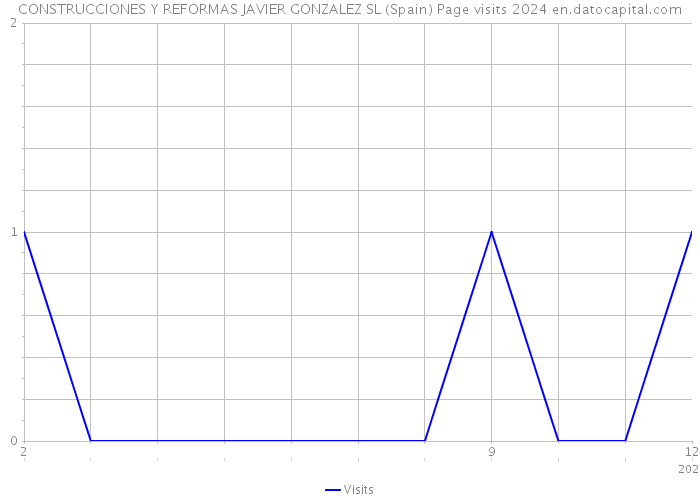 CONSTRUCCIONES Y REFORMAS JAVIER GONZALEZ SL (Spain) Page visits 2024 