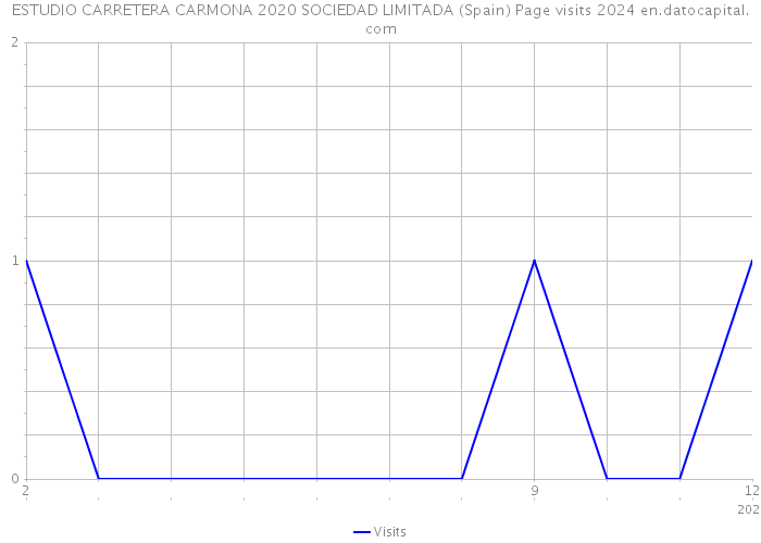 ESTUDIO CARRETERA CARMONA 2020 SOCIEDAD LIMITADA (Spain) Page visits 2024 