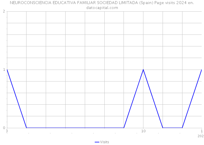 NEUROCONSCIENCIA EDUCATIVA FAMILIAR SOCIEDAD LIMITADA (Spain) Page visits 2024 