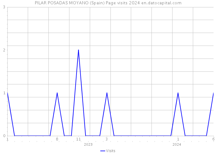 PILAR POSADAS MOYANO (Spain) Page visits 2024 