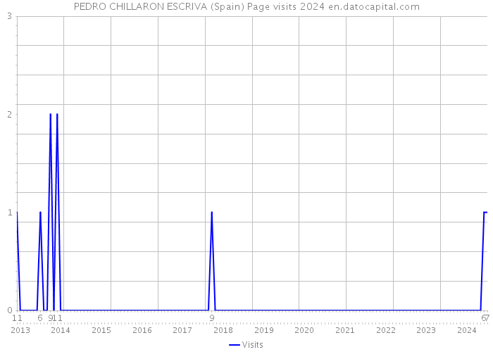 PEDRO CHILLARON ESCRIVA (Spain) Page visits 2024 