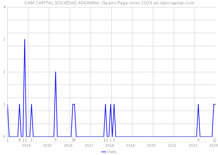 CAM CAPITAL SOCIEDAD ANONIMA. (Spain) Page visits 2024 