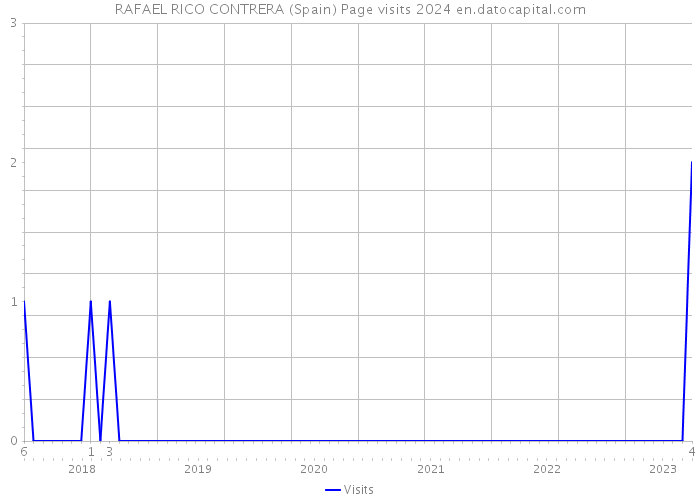 RAFAEL RICO CONTRERA (Spain) Page visits 2024 