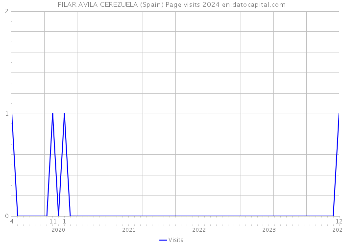 PILAR AVILA CEREZUELA (Spain) Page visits 2024 