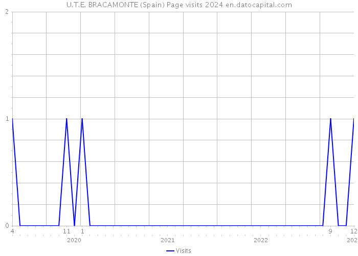 U.T.E. BRACAMONTE (Spain) Page visits 2024 