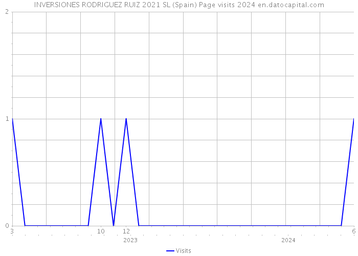 INVERSIONES RODRIGUEZ RUIZ 2021 SL (Spain) Page visits 2024 