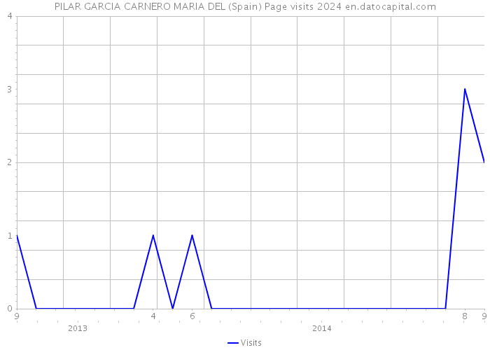 PILAR GARCIA CARNERO MARIA DEL (Spain) Page visits 2024 