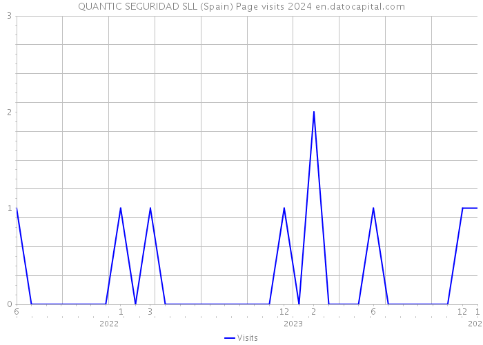 QUANTIC SEGURIDAD SLL (Spain) Page visits 2024 