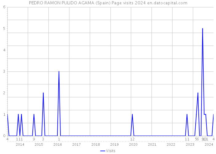 PEDRO RAMON PULIDO AGAMA (Spain) Page visits 2024 
