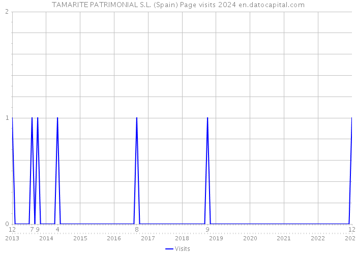 TAMARITE PATRIMONIAL S.L. (Spain) Page visits 2024 