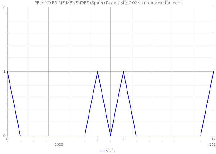PELAYO BRIME MENENDEZ (Spain) Page visits 2024 