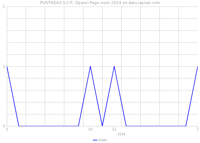 PUNTADAS S.C.P. (Spain) Page visits 2024 