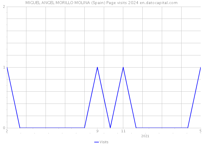 MIGUEL ANGEL MORILLO MOLINA (Spain) Page visits 2024 
