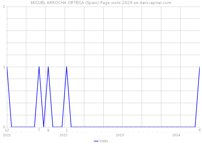 MIGUEL ARROCHA ORTEGA (Spain) Page visits 2024 