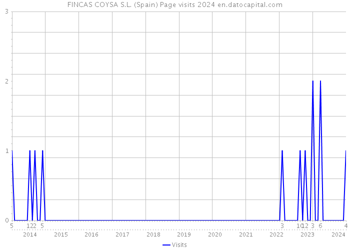 FINCAS COYSA S.L. (Spain) Page visits 2024 