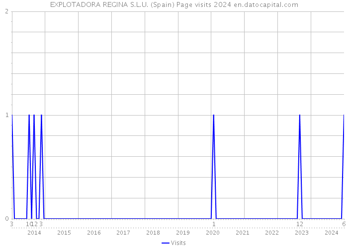 EXPLOTADORA REGINA S.L.U. (Spain) Page visits 2024 