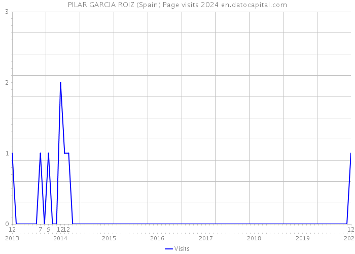 PILAR GARCIA ROIZ (Spain) Page visits 2024 