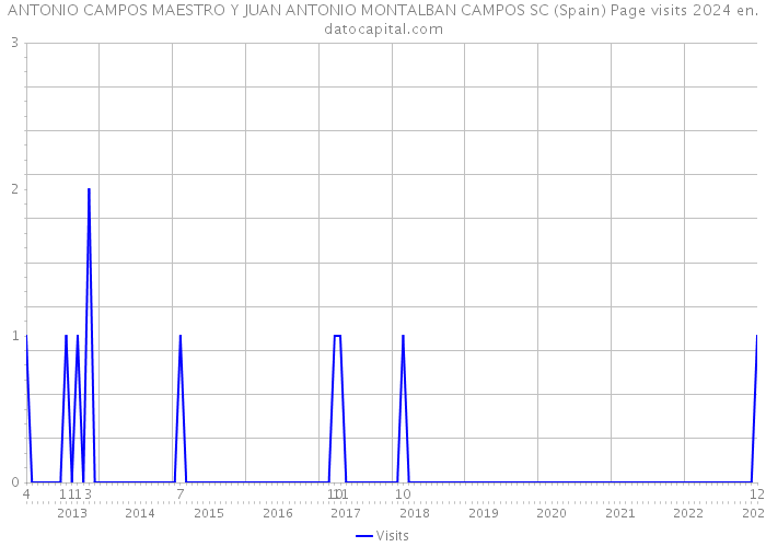 ANTONIO CAMPOS MAESTRO Y JUAN ANTONIO MONTALBAN CAMPOS SC (Spain) Page visits 2024 