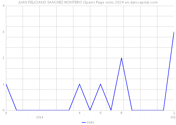 JUAN FELICIANO SANCHEZ MONTERO (Spain) Page visits 2024 