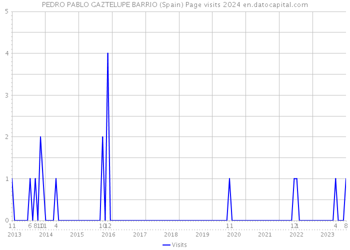 PEDRO PABLO GAZTELUPE BARRIO (Spain) Page visits 2024 