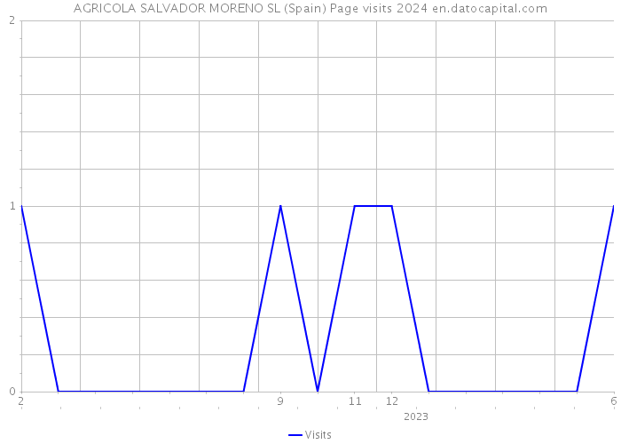 AGRICOLA SALVADOR MORENO SL (Spain) Page visits 2024 