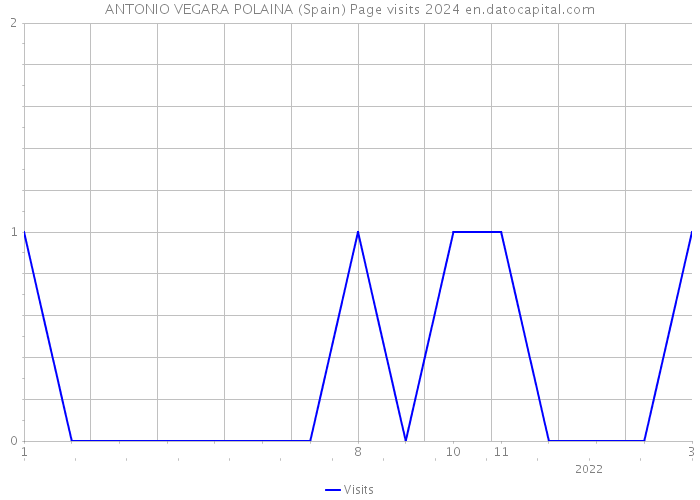 ANTONIO VEGARA POLAINA (Spain) Page visits 2024 