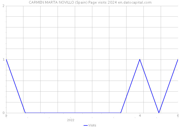 CARMEN MARTA NOVILLO (Spain) Page visits 2024 