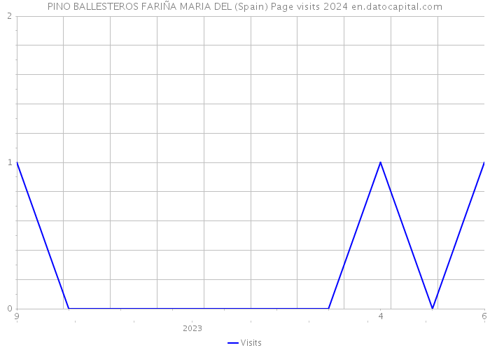 PINO BALLESTEROS FARIÑA MARIA DEL (Spain) Page visits 2024 