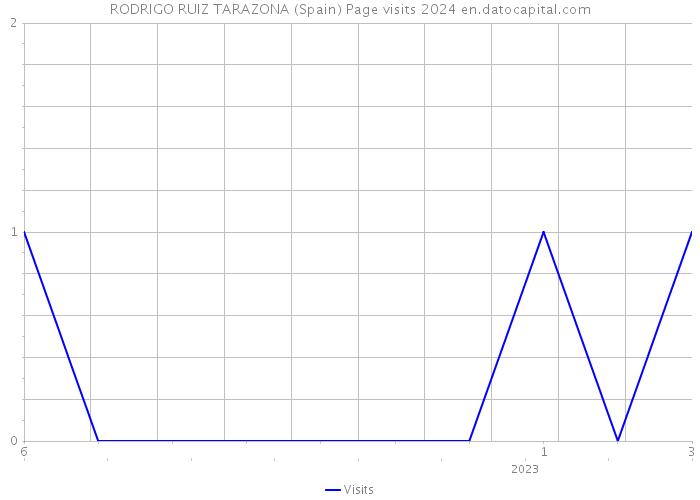 RODRIGO RUIZ TARAZONA (Spain) Page visits 2024 