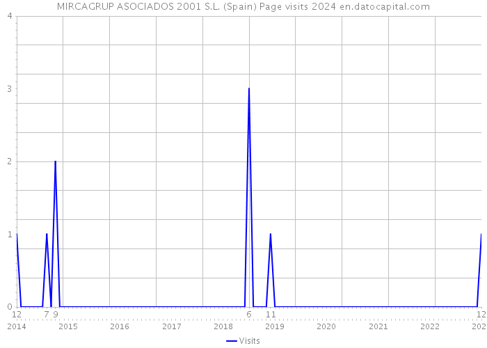 MIRCAGRUP ASOCIADOS 2001 S.L. (Spain) Page visits 2024 