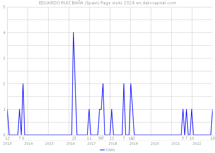 EDUARDO RUIZ BAÑA (Spain) Page visits 2024 