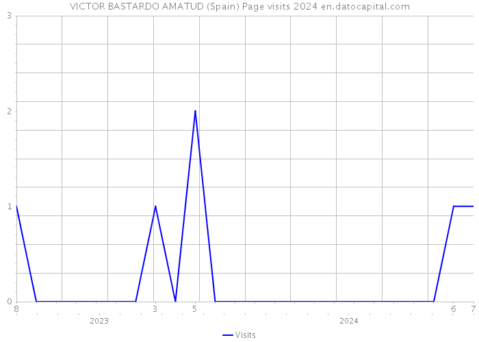 VICTOR BASTARDO AMATUD (Spain) Page visits 2024 