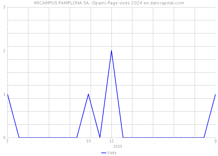 MICAMPUS PAMPLONA SA. (Spain) Page visits 2024 