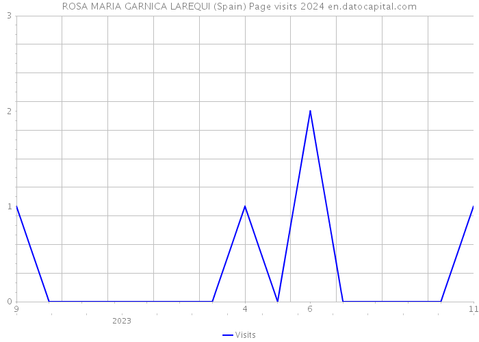 ROSA MARIA GARNICA LAREQUI (Spain) Page visits 2024 