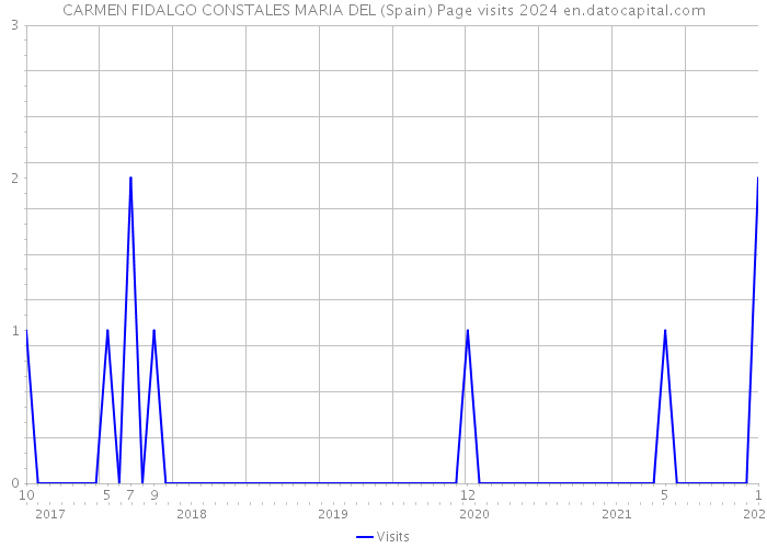 CARMEN FIDALGO CONSTALES MARIA DEL (Spain) Page visits 2024 